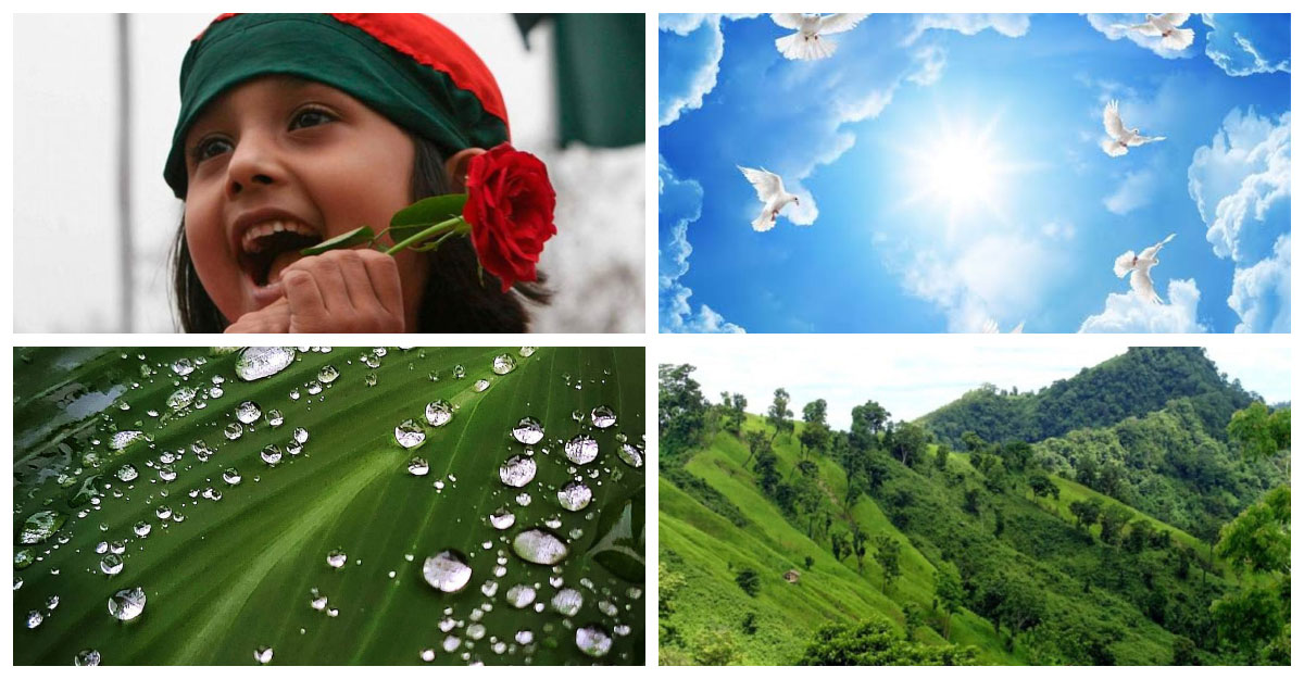 আল্লাহর কুদরতের কিছু অনুপম নিদর্শন