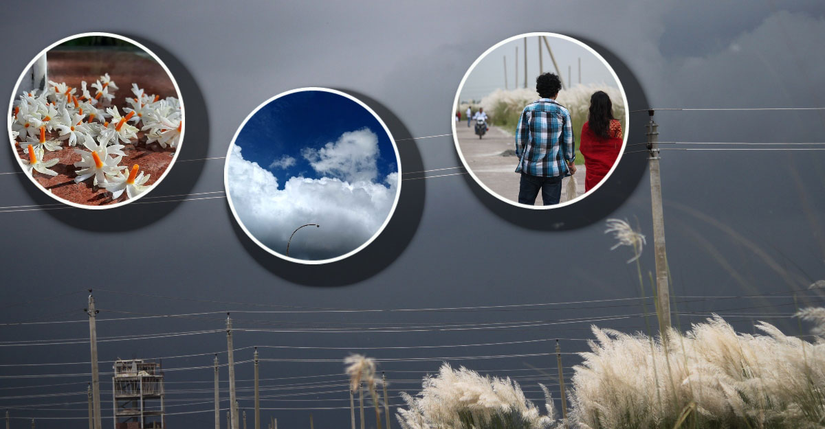 রৌদ্র-মেঘের শামিয়ানায় প্রকৃতিতে ‘শরৎ’ রাজত্ব