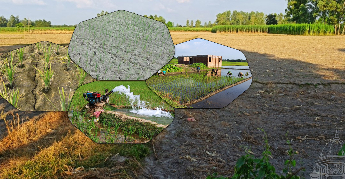 ভয়াবহ আবহাওয়া বিপর্যয়ের মুখে দেশ