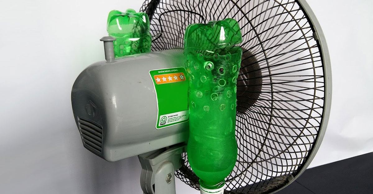 fan