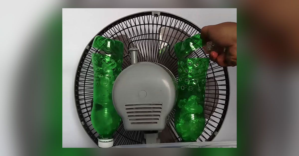 fan