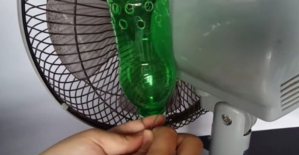 fan