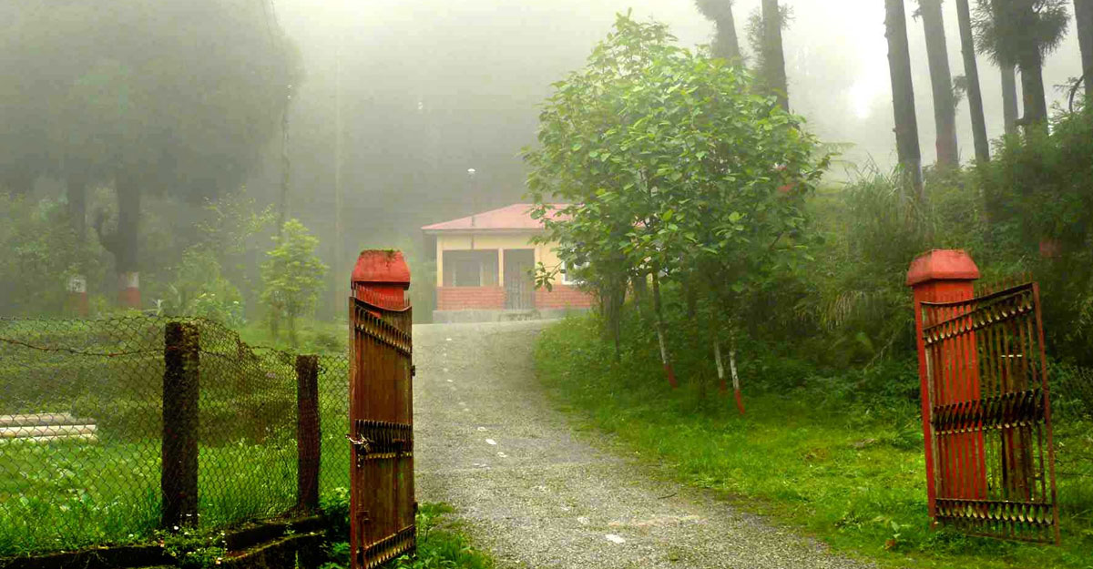 ফুল আর সবুজে ঢাকা মোহনীয় এক গ্রাম!