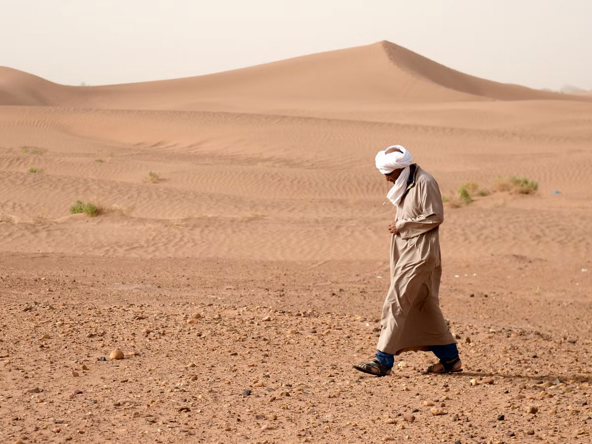 Deserts are increasing every year