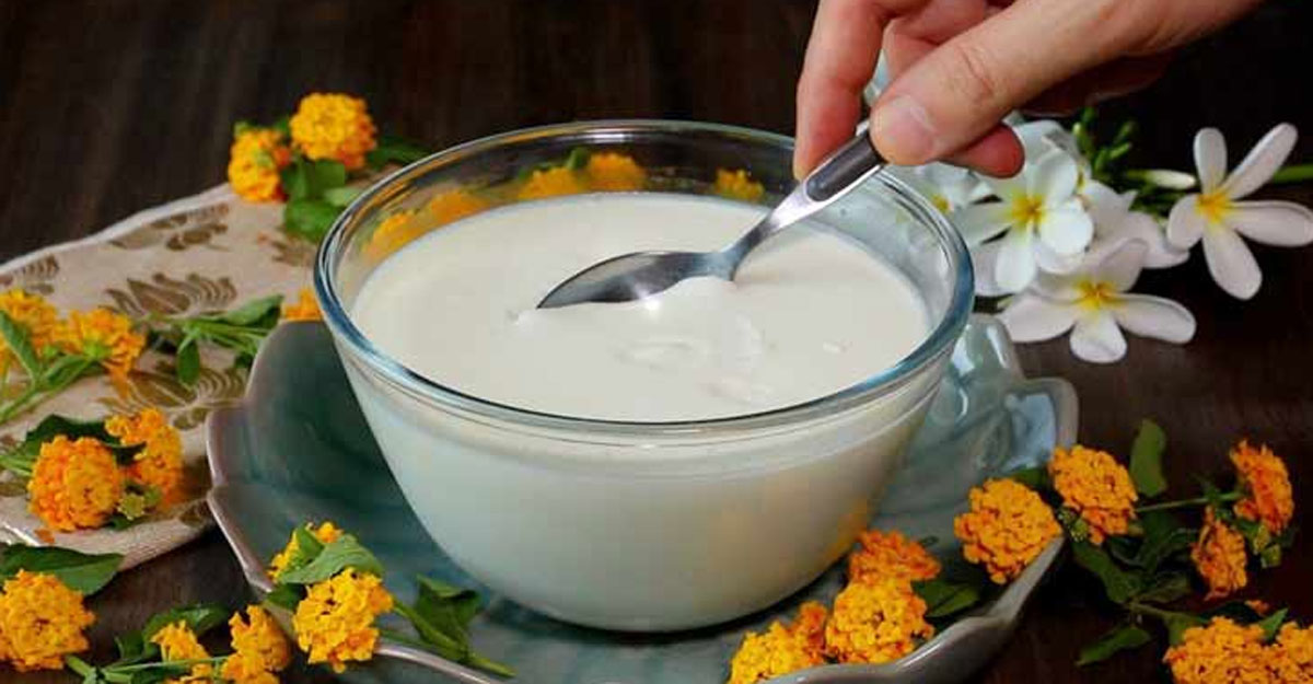 মাত্র ১০ মিনিটে বানান টক দই