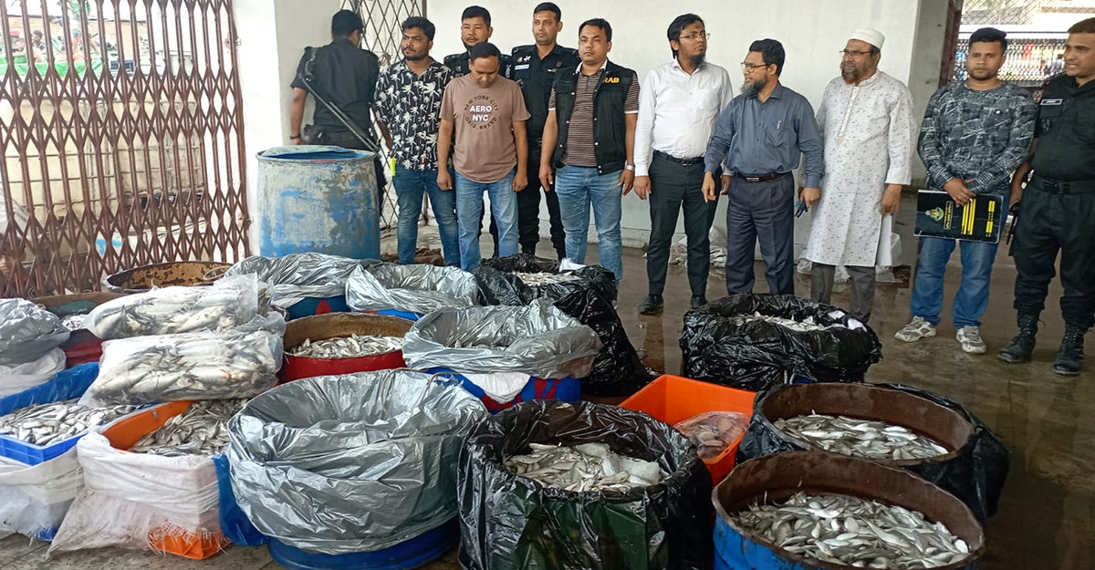 রাজধানীতে ৬ লাখ টাকার জাটকা ইলিশ জব্দ