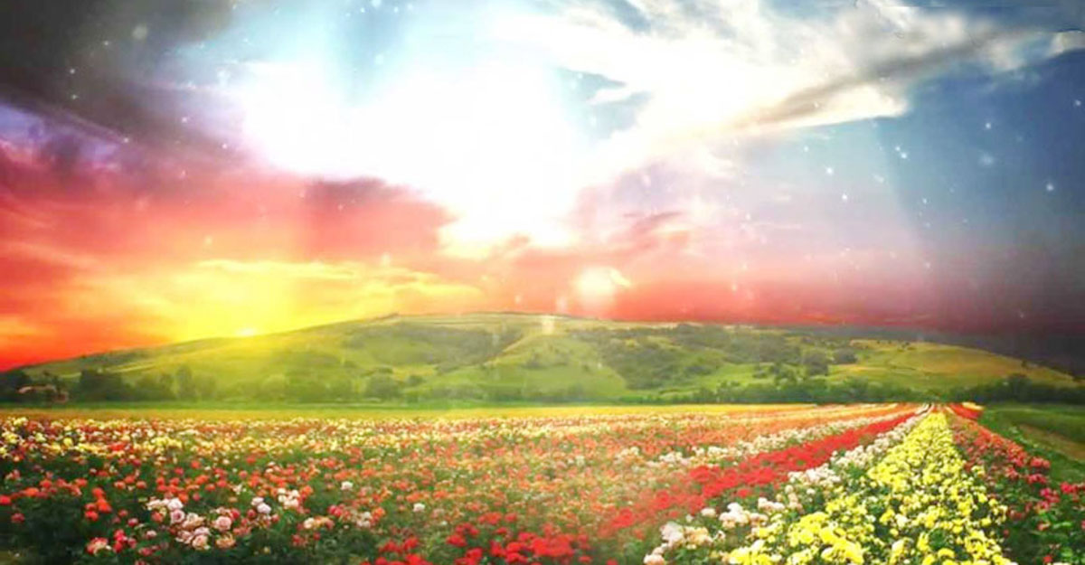 ফেরাউনের স্ত্রী আসিয়া দুনিয়াতে জান্নাত দেখেছেন