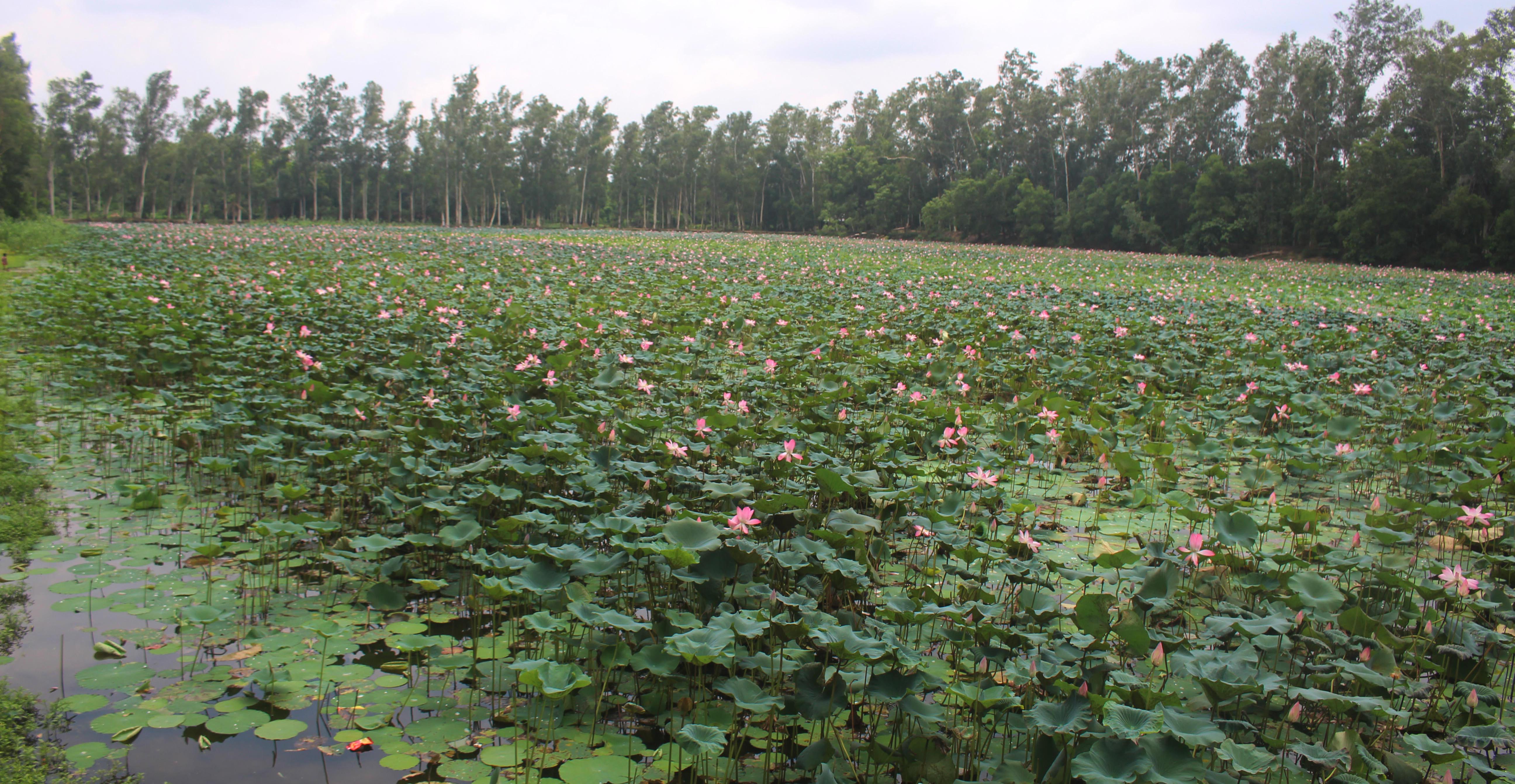naogaon