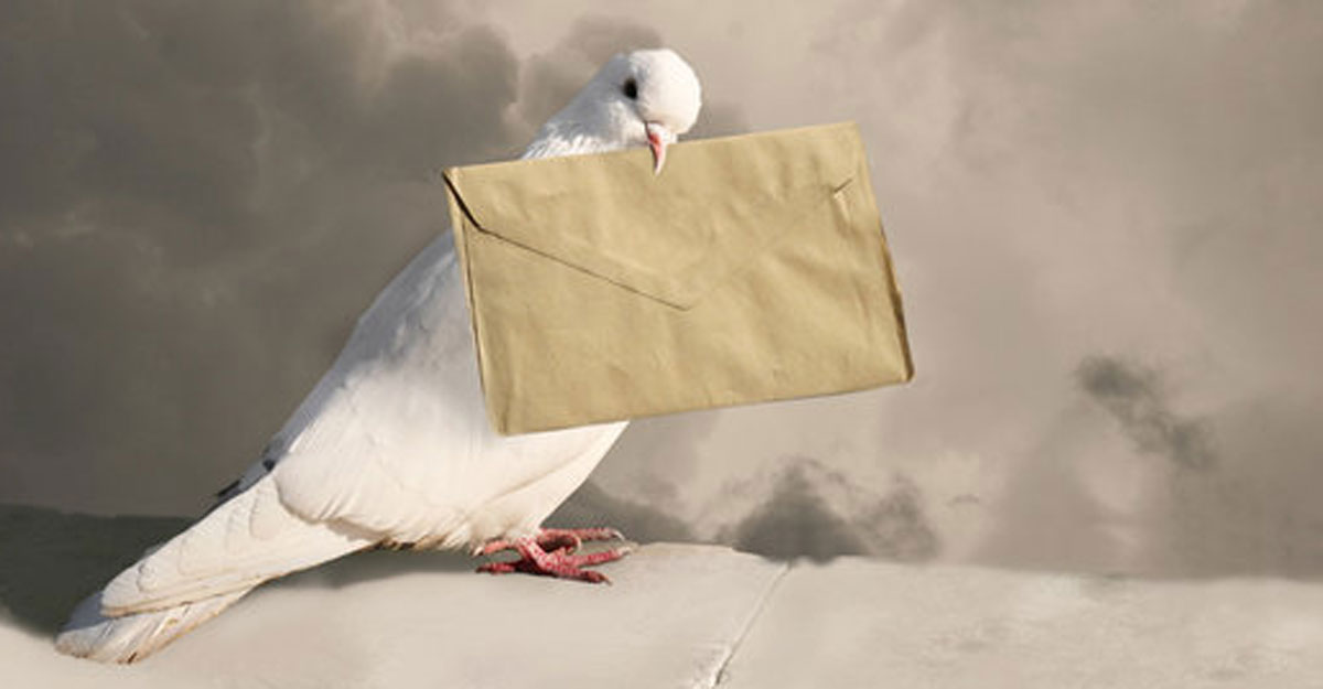 প্রাচীনকালে চিঠি পাঠানোর জন্য কবুতর ব্যবহার করা হতো কেন?