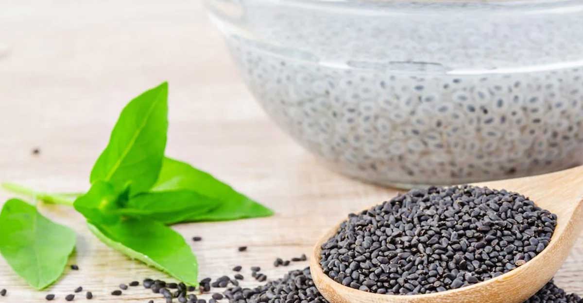 তুলসী বীজ: রোগ নিরাময়ে প্রাকৃতিক ওষুধ