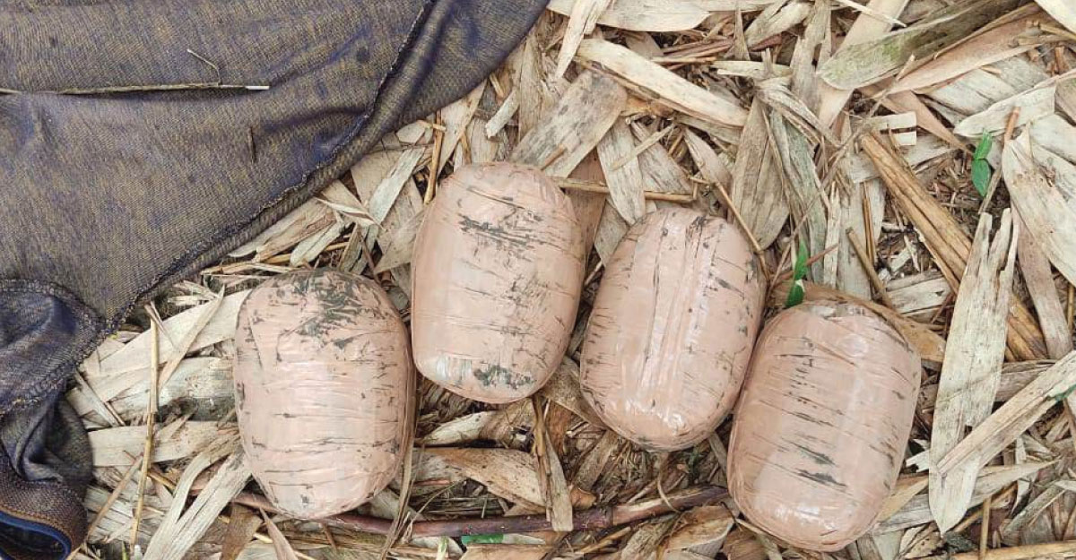 মেহেরপুর সীমান্তে ১৬ লাখ ৭৮ হাজার টাকার চান্দি রুপার বল আটক