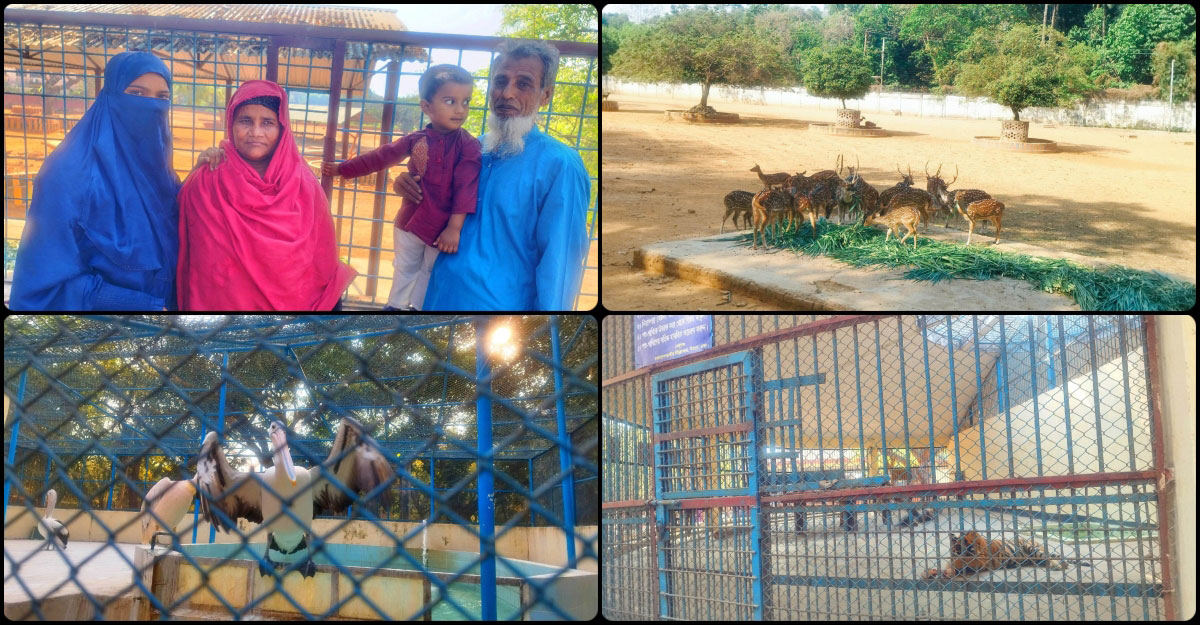 ছুটির দিনে পরিবারের সঙ্গে ঘুরে আসুন জাতীয় চিড়িয়াখানায়