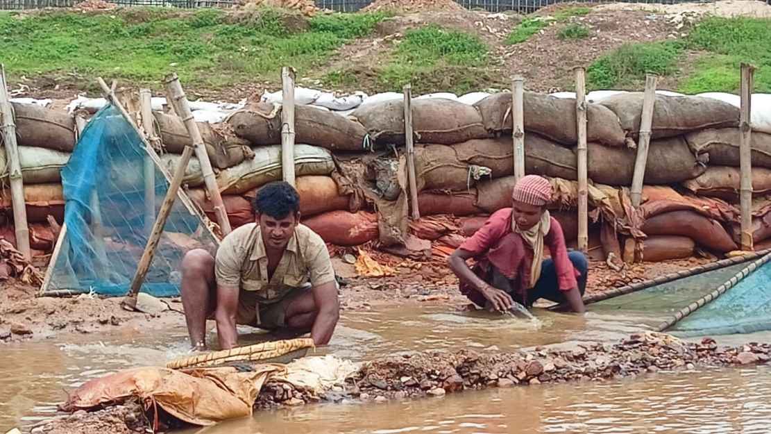 ঢলের কয়লা-পাথর তুলে চলে ওদের সংসার