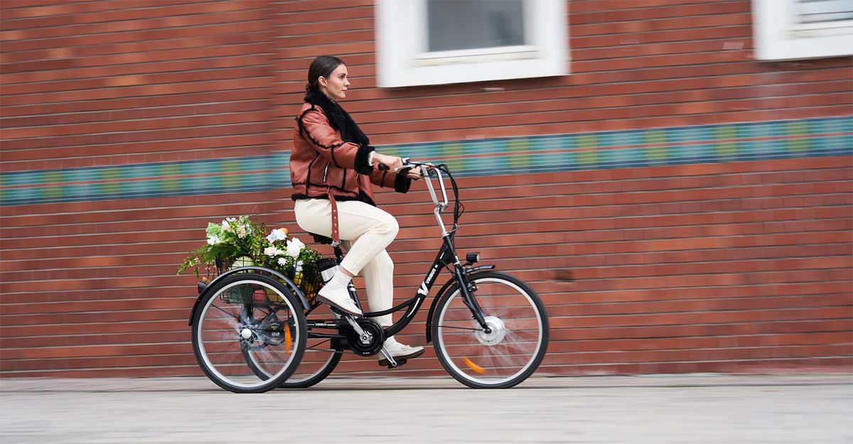 ৩ চাকার ইলেকট্রিক কার্গো সাইকেল এলো