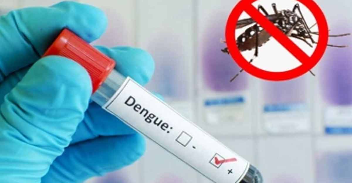 ডেঙ্গু: কারিগরি শিক্ষাপ্রতিষ্ঠানের অগ্রগতি জানানোর নির্দেশ