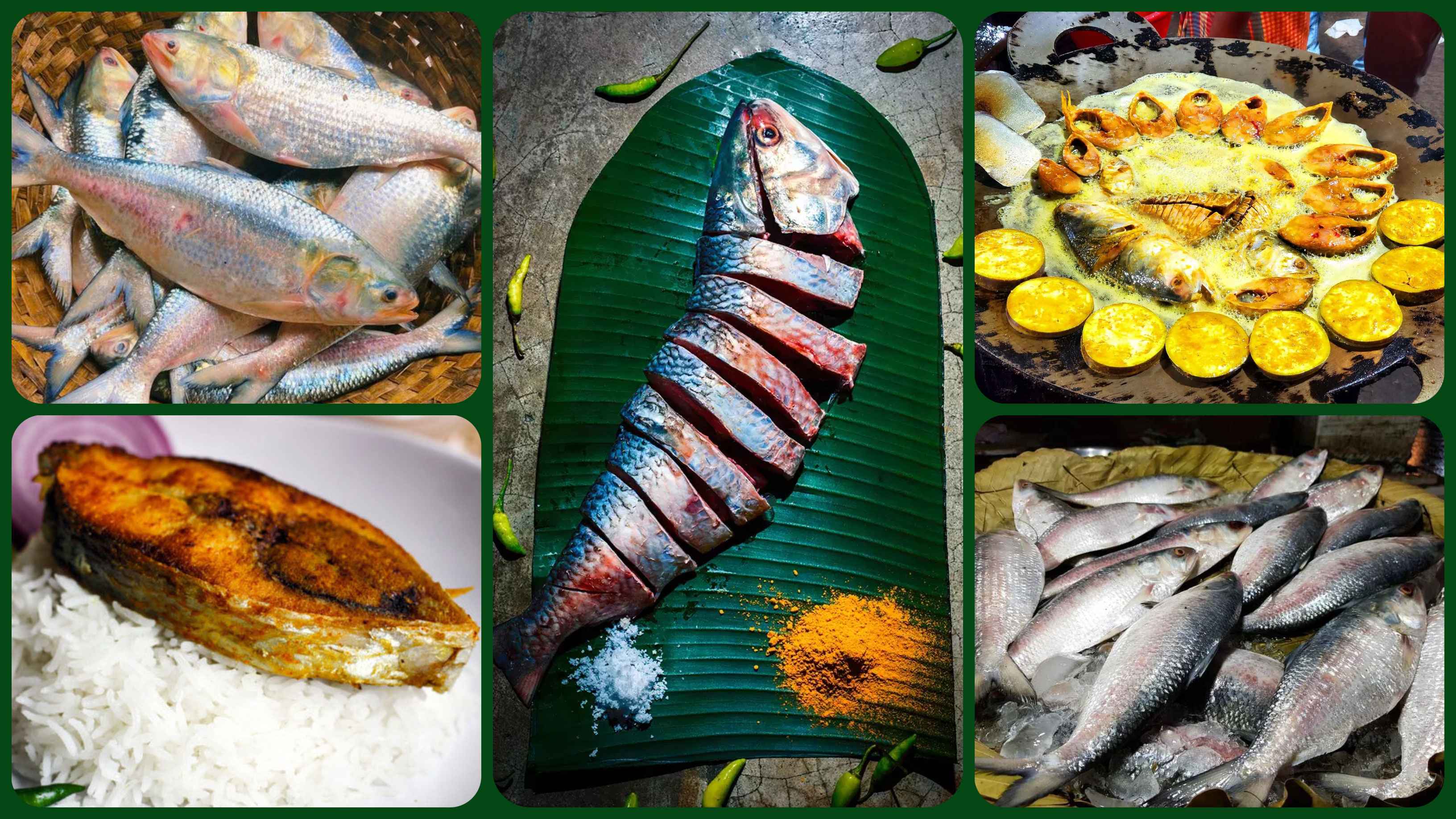 কোন ইলিশের স্বাদ বেশি, চেনার উপায় কী? 