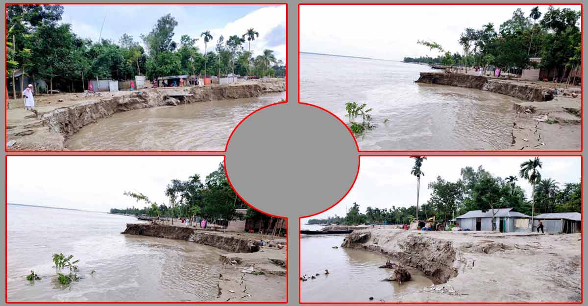 যমুনায় ভয়াবহ ভাঙন, ভালো নেই নদীপাড়ের মানুষ