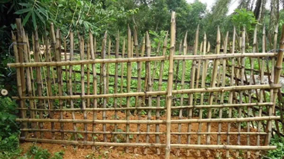 কবর বা আলমে বরজখ কেমন জগত?