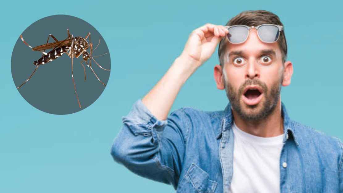 মশা সম্পর্কে যে তথ্যগুলো অবাক করবে আপনাকে 