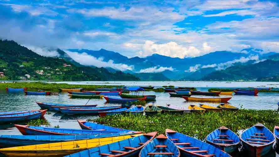 বিনাখরচে নেপালের ই-ভিসা পাওয়ার উপায়