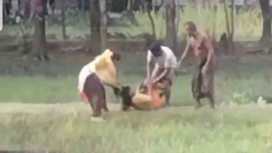 ভোলায় নারীকে মারধরের ভিডিও ভাইরাল, তিনজনের নামে মামলা