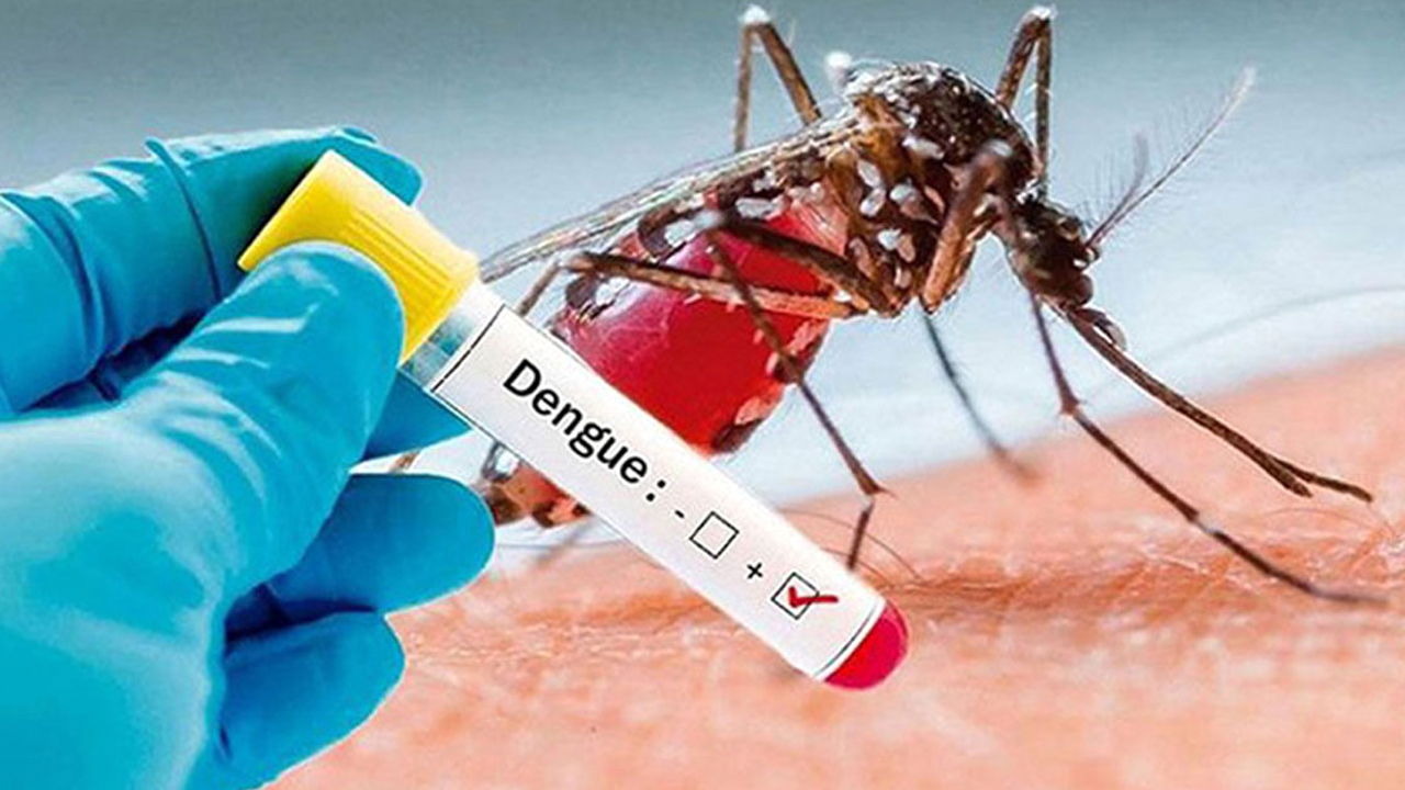 2023--Dengue--Inner-01 2023--Dengue--Inner-01