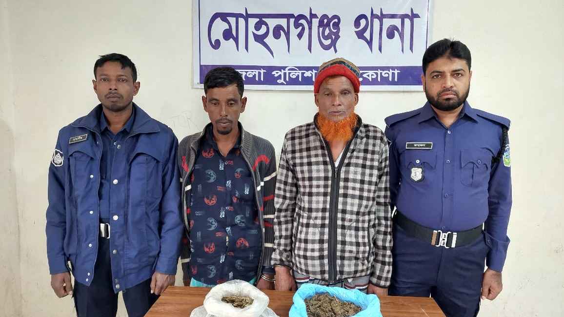 মোহনগঞ্জে গাঁজাসহ ২ মাদক কারবারি গ্রেফতার