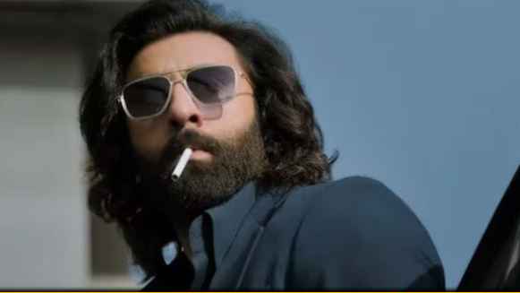 মুক্তির দিনই ফাঁস ‘অ্যানিমেল’-এর আসল চমক