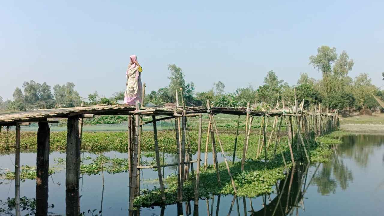 রংপুরে ৫০ হাজার মানুষের ভরসা একটি বাঁশের সাঁকো
