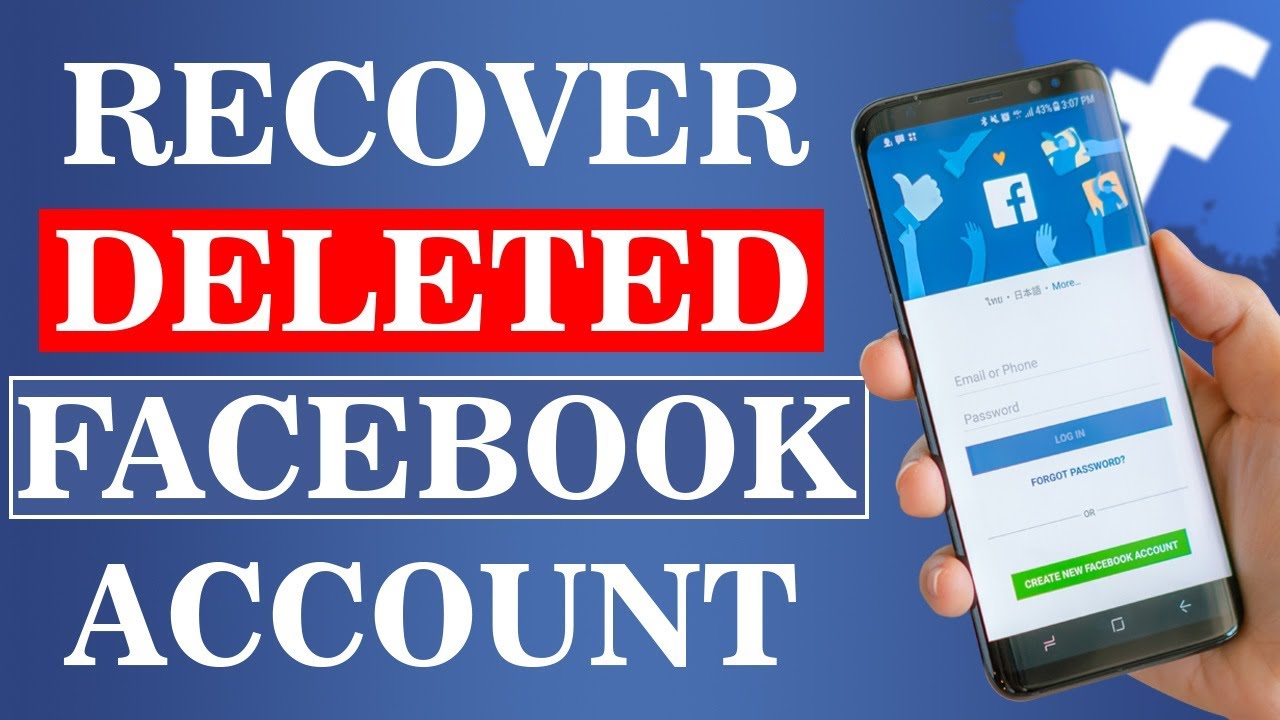 fb fb