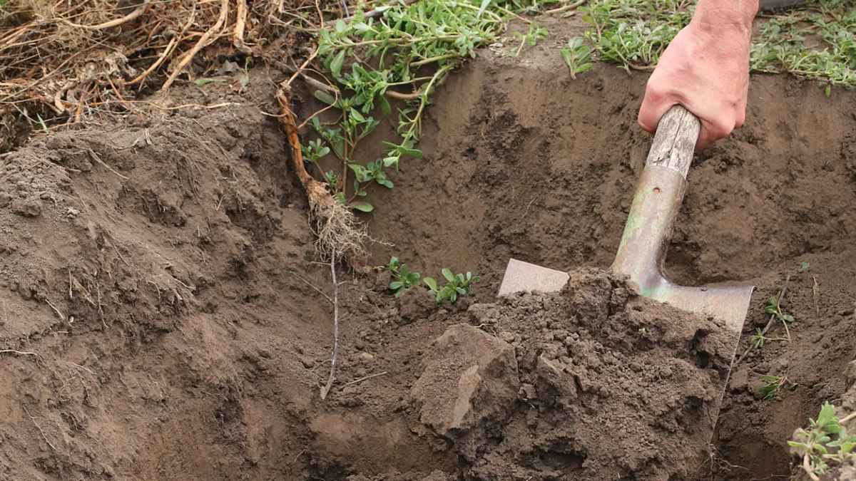 কবর খননের সুন্নত পদ্ধতি