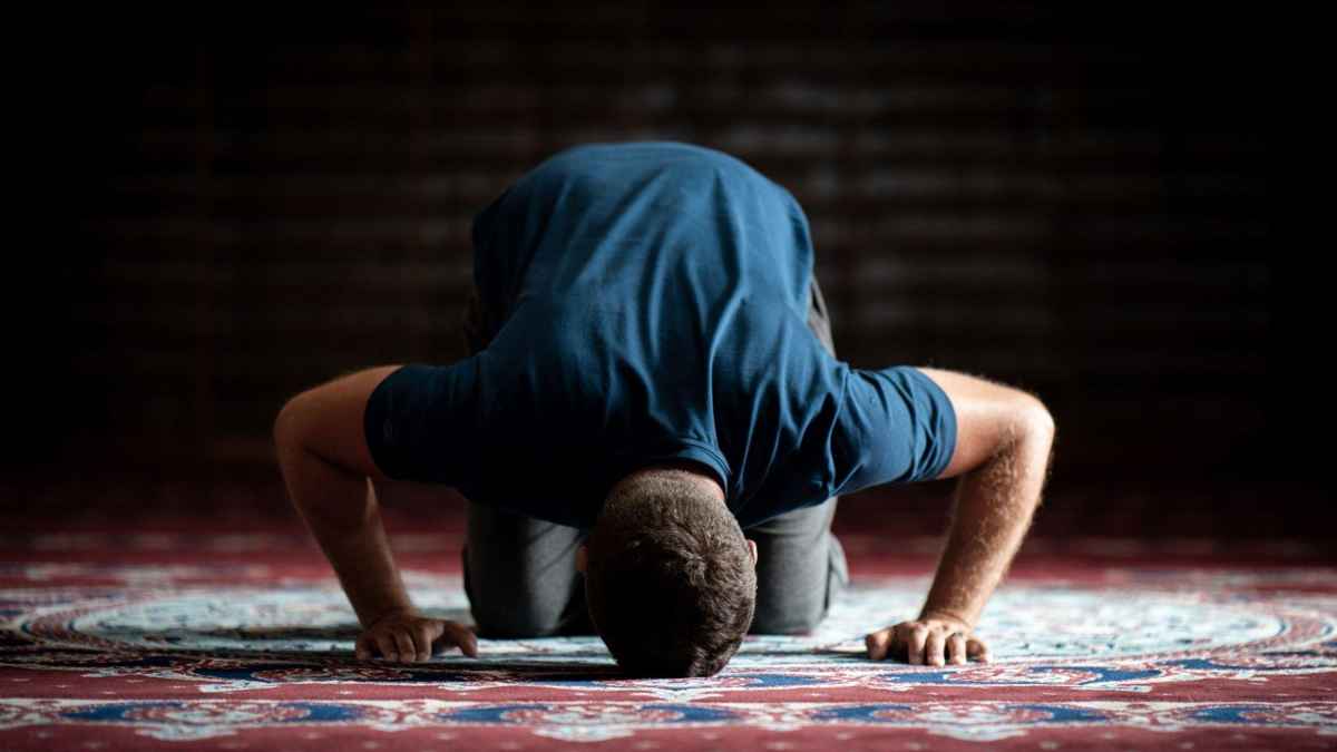 কাপড়ে প্রাণীর ছবি থাকলে নামাজ হবে?