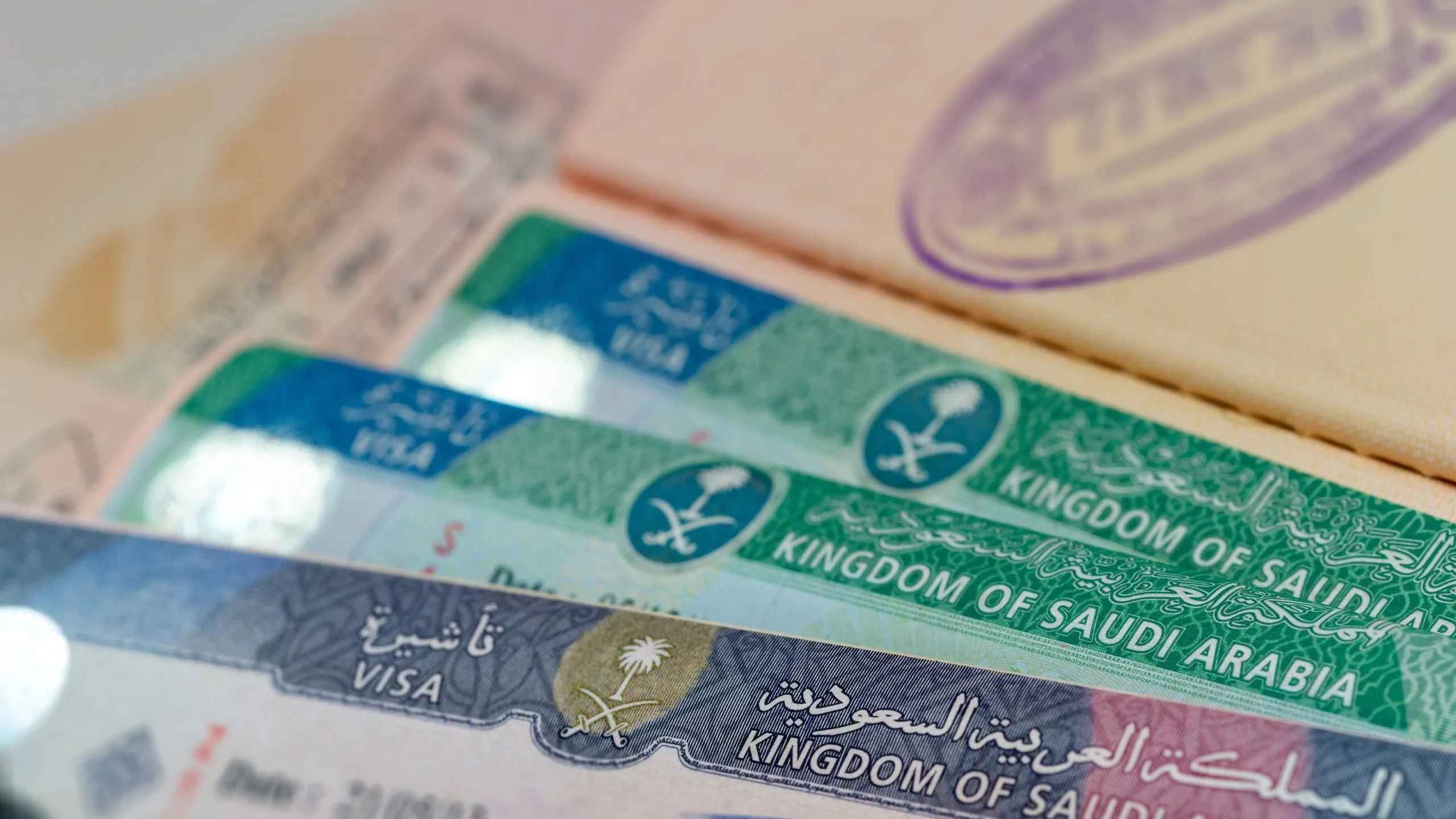 সৌদি আরবের সব ভিসা মিলবে এক প্ল্যাটফর্মে