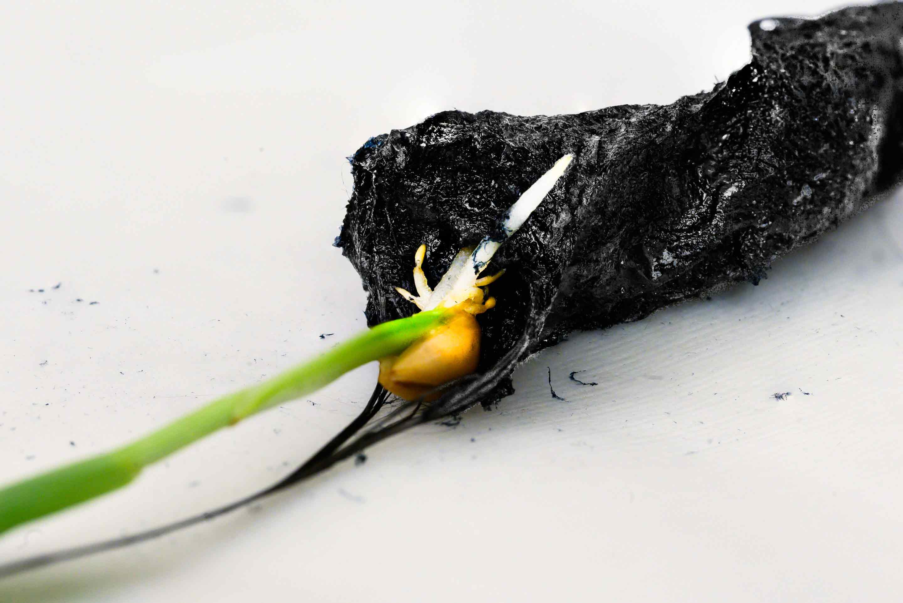 soil-2