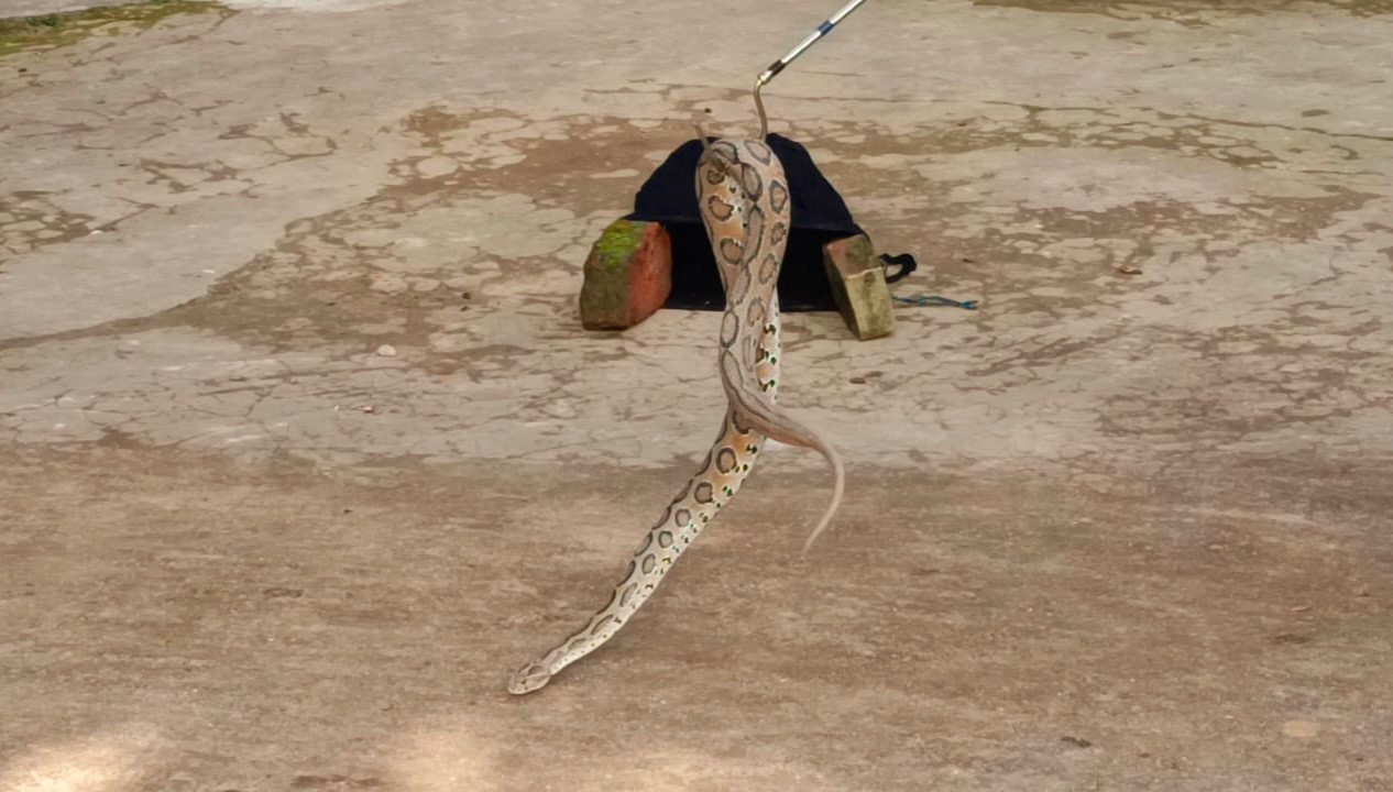 thumbnail_IMG-20231212-WA0005