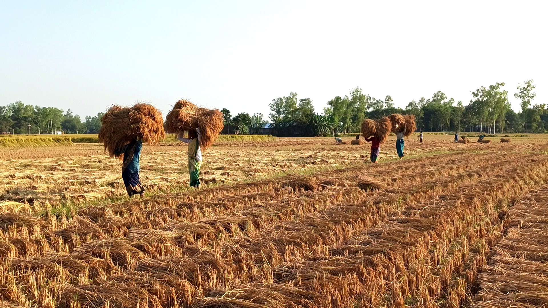 thumbnail_IMG_20231215_011610