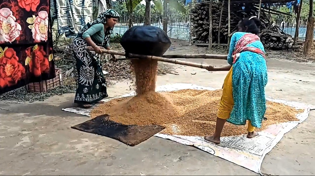 thumbnail_IMG_20231215_012405