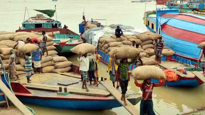 নির্বাচন মৌসুমেও সংকটে আশুগঞ্জ ধানের মোকাম, স্থবির চালের বাজারও