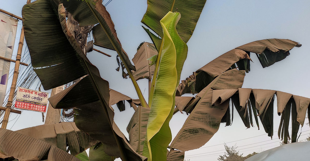 ধুলোবালির দাপটে বছিলাবাসীর জীবন অতিষ্ঠ