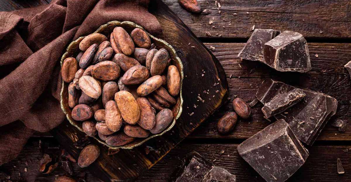 চকলেট কীভাবে তৈরি হয়?