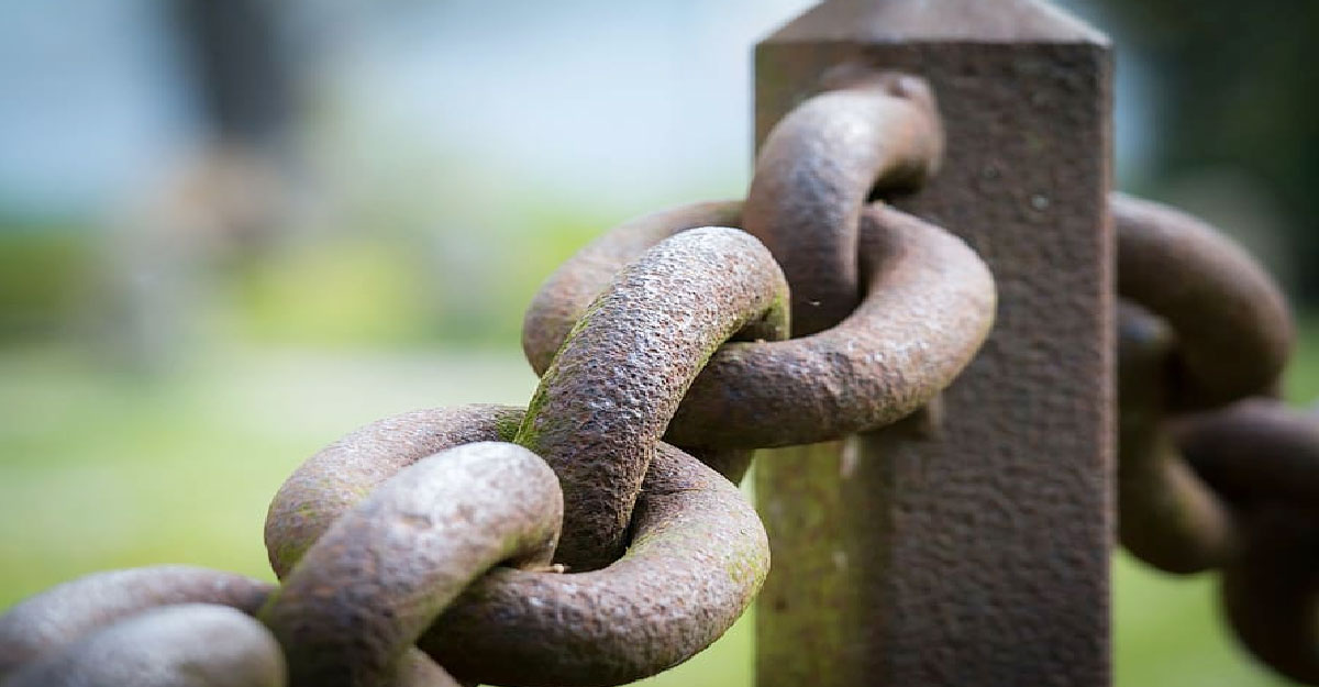 দাজ্জালের সঙ্গে সাক্ষাতের যে ঘটনা বর্ণনা করেছেন তামিম দারি (রা.)