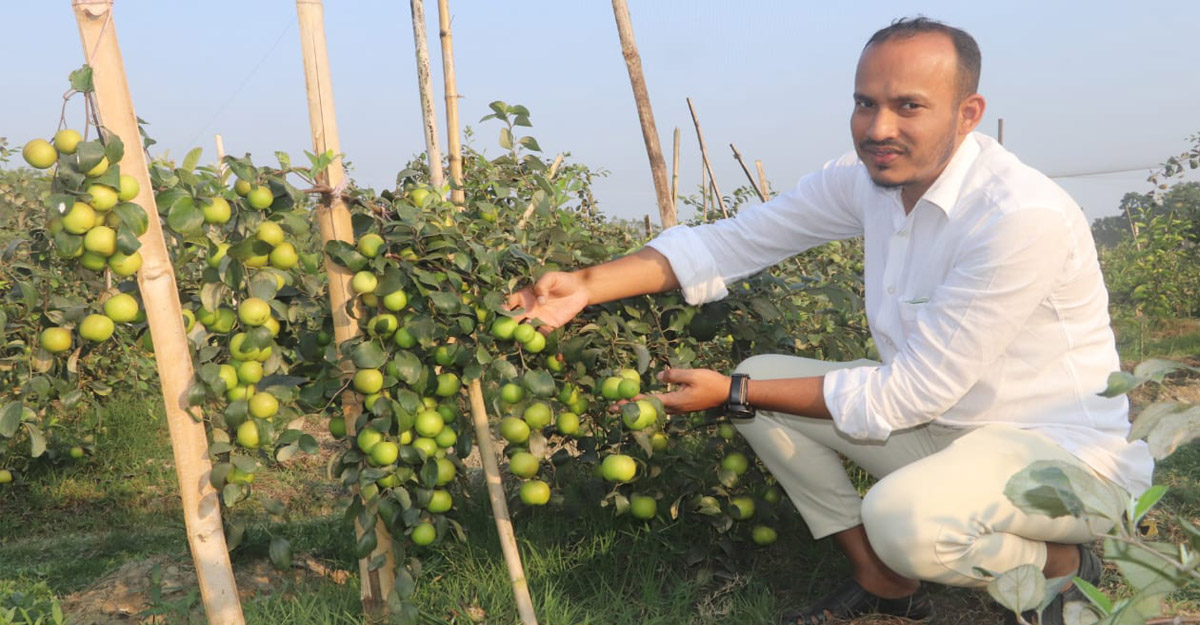 ফেনীতে স্বপ্ন দেখাচ্ছে ৩ বন্ধুর কৃষি খামার