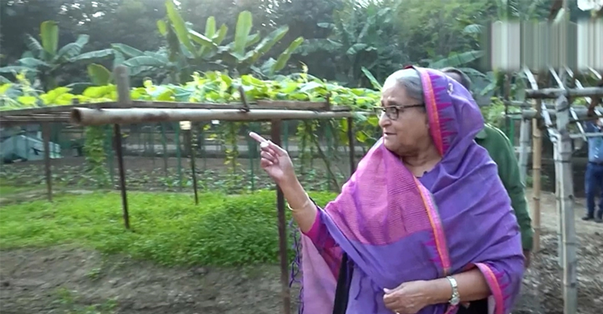 PM Sheikh Hasina