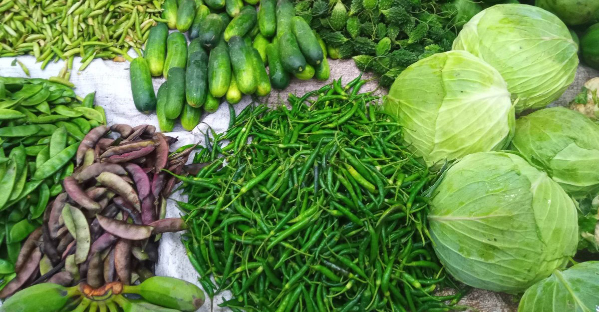 রাজশাহীতে কাঁচা মরিচের ডাবল সেঞ্চুরি