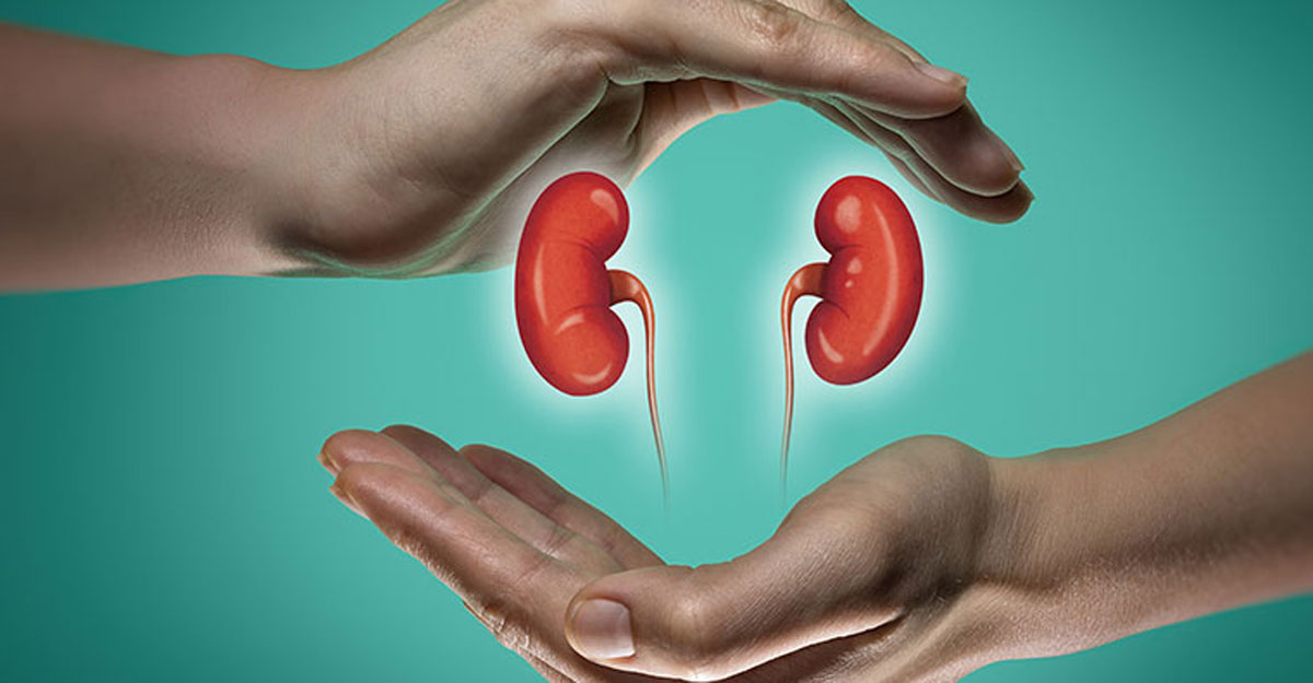 কিডনি পরিষ্কার করে যেসব খাবার