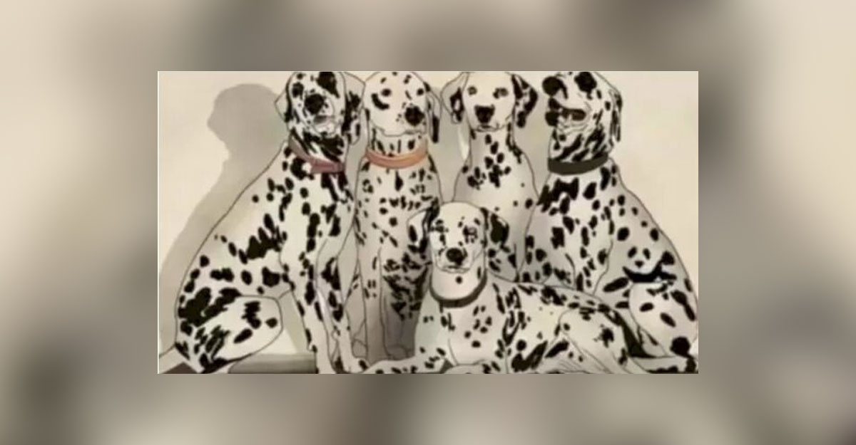 কুকুরের ভিড়ে লুকিয়ে পান্ডা, খুঁজে বের করুন তাকে