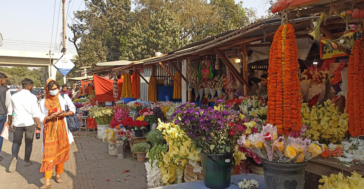 হলুদ জারবেরা-গ্ল্যাডিওলাসে ফাগুন হাওয়া, দাম বেড়েছে ৩ গুণ