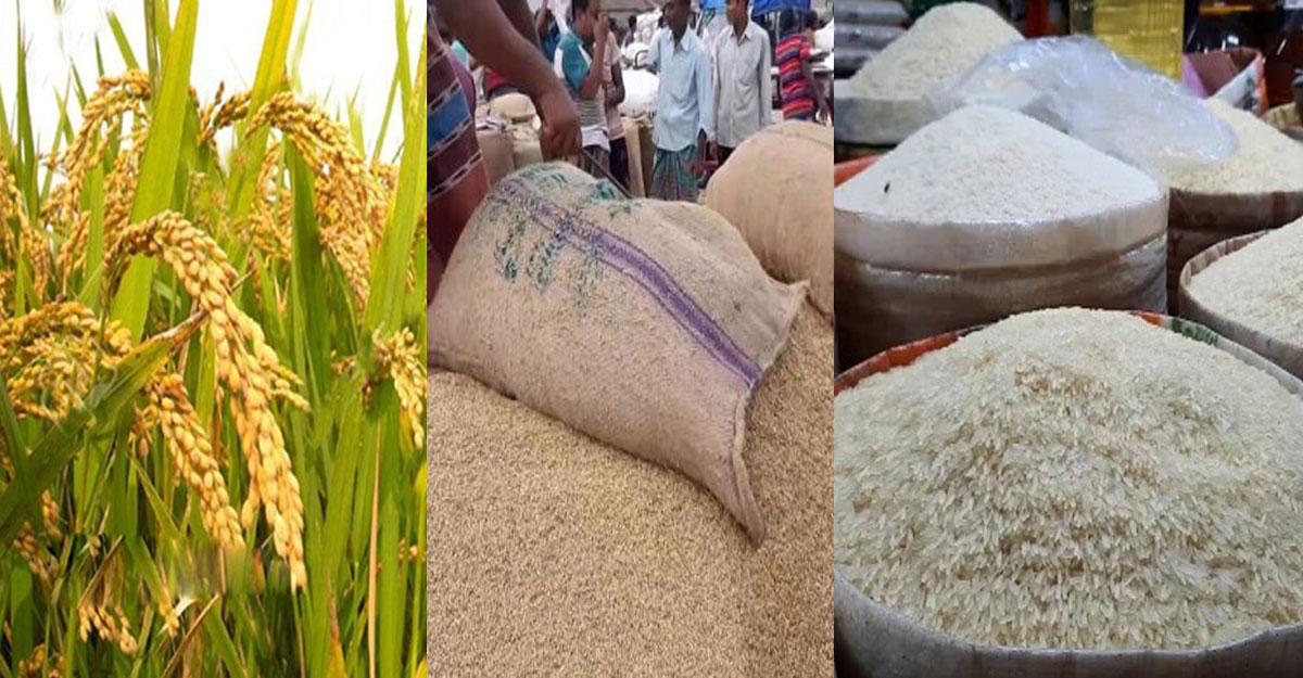 আমনের রেকর্ড ফলনেও কমেনি চালের দাম