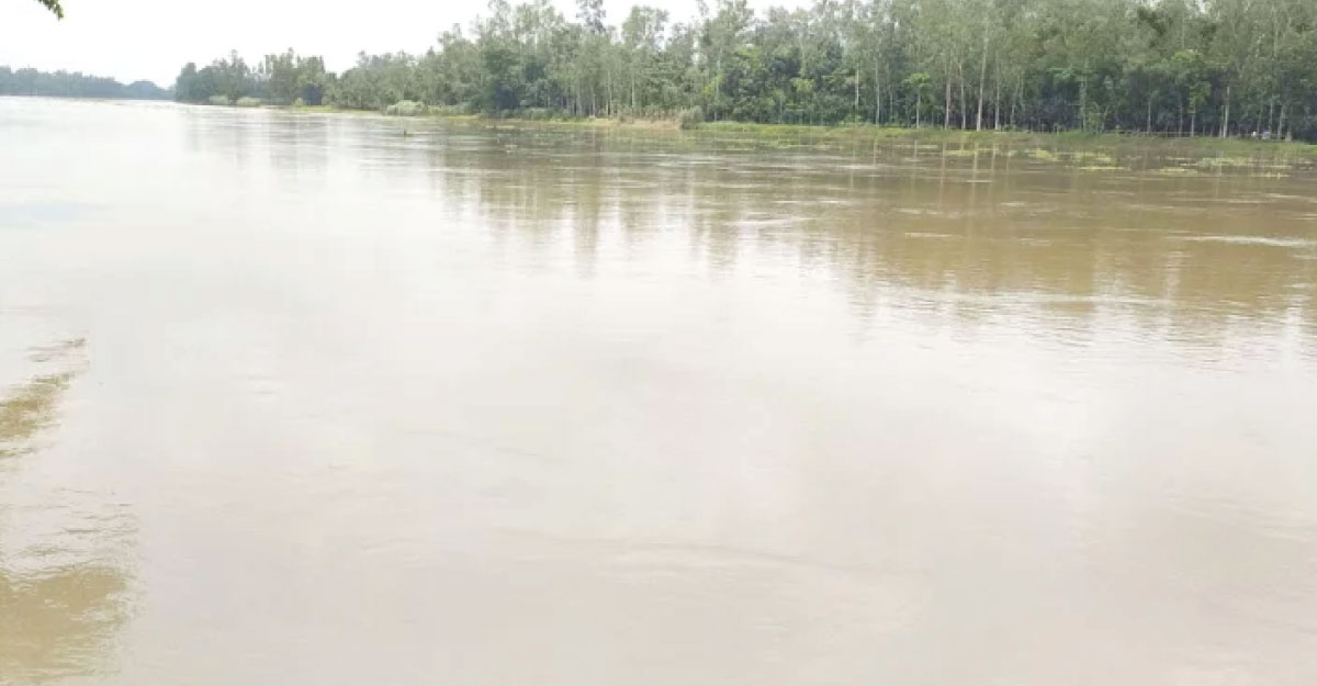 বাজি ধরে সাঁতরে নদ পার হতে গিয়ে যুবক নিখোঁজ