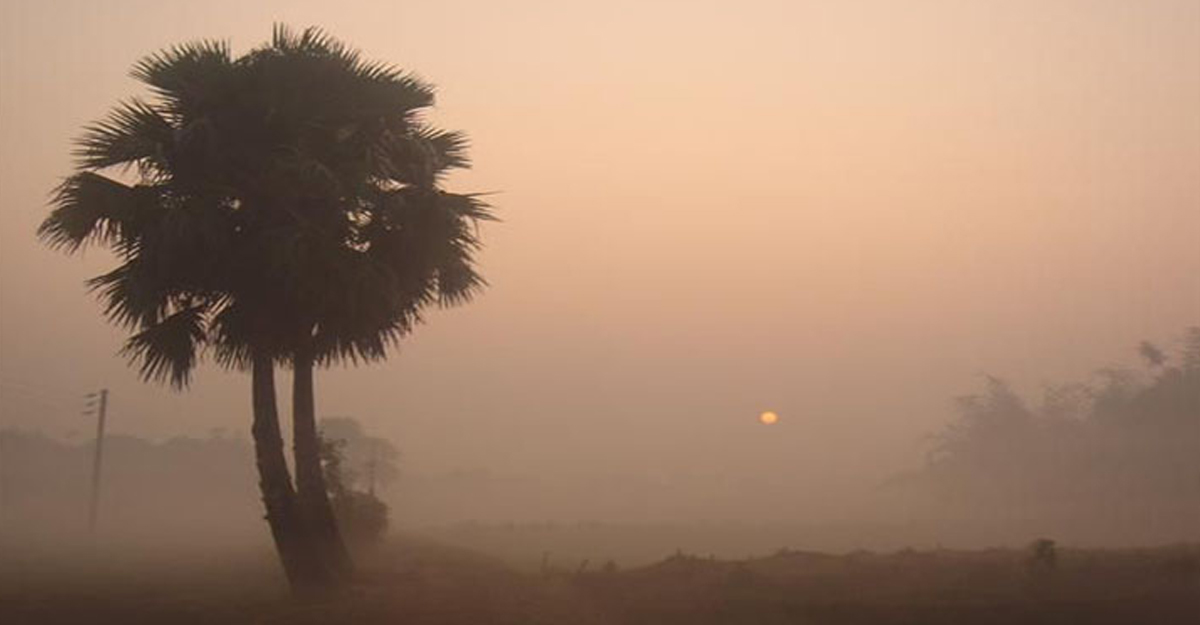 ঘনীভূত হয়েছে নিম্নচাপ, মাঝারি থেকে ঘন কুয়াশার আভাস